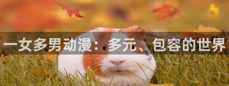 omofun动漫下载ios版：一女多男动漫：多元、包容的世界