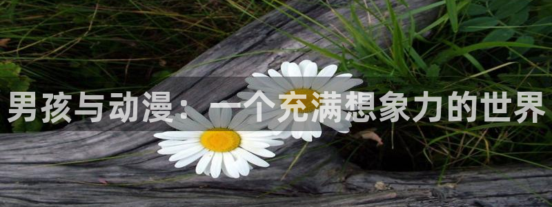 omofun动漫下载最新版：男孩与动漫：一个充满想象力的世界