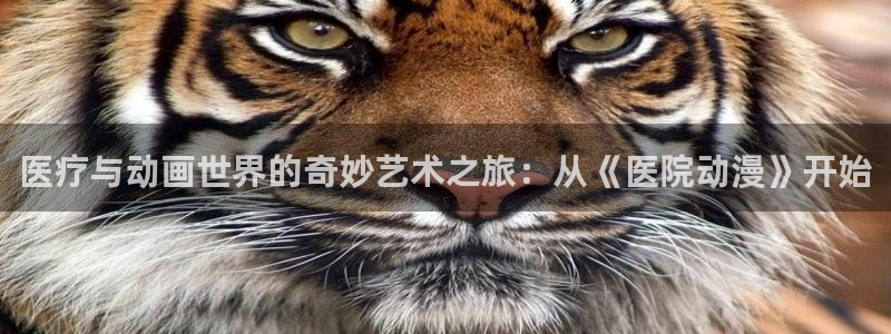 动漫omofun下载：医疗与动画世界的奇妙艺术之旅：从《医院动漫》开始